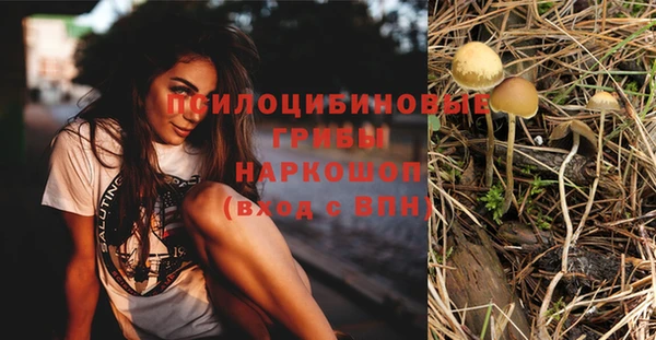спиды Касимов