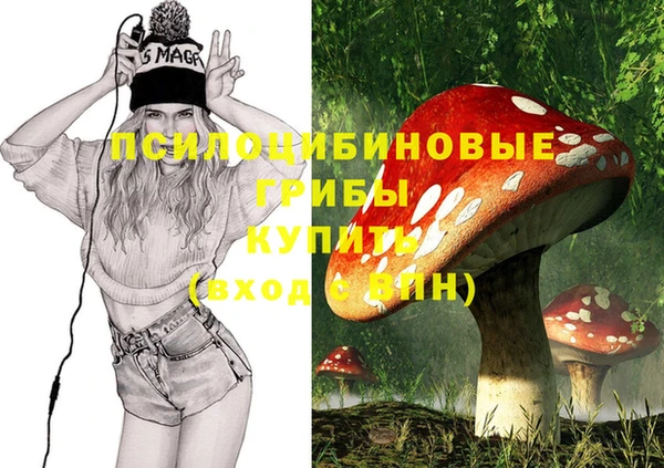 прущие крисы Карпинск