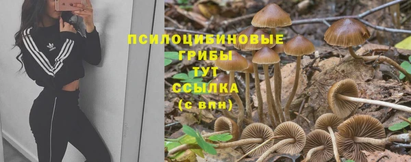 крисы Карталы