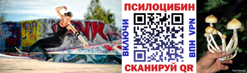Галлюциногенные грибы GOLDEN TEACHER  Купить  Изобильный 